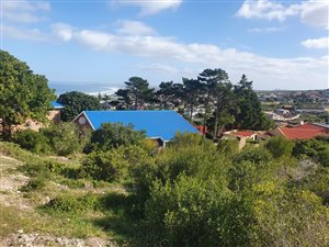 1156 m² Land available in Dana Bay