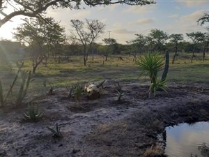 2024 m² Land available in Bathurst and Surrounds