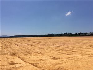 20000 m² Industrial space in Cato Ridge