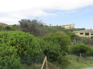 1273 m² Land available in Brenton on Sea