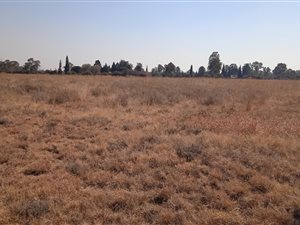 1.1 ha Land available in Homestead Apple Orchards