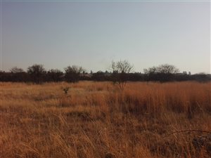 8.5 ha Land available in Donkerhoek