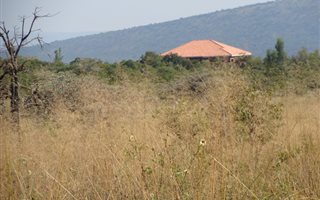 193 ha Farm in Alma