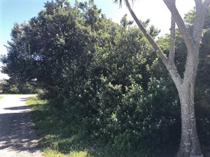 897 m² Land available in Boknesstrand