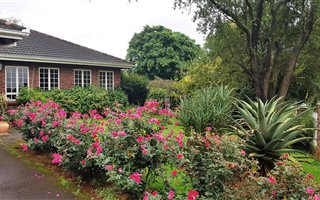 3 Bedroom House in Athlone