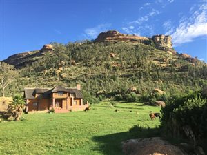 896 ha Farm in Clarens