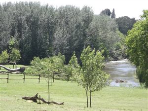 3.2 ha Farm in Henley on Klip