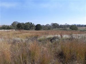 3614 m² Land available in Lydenburg