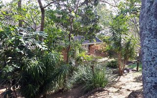 3 Bedroom House in Pennington
