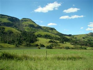 892.9 ha Farm in Underberg