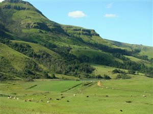 892.9 ha Farm in Underberg