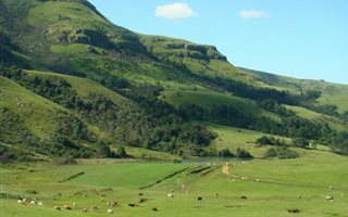 892.9 ha Farm in Underberg