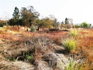 2.3 ha Land available in Randjesfontein
