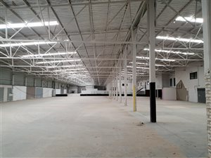 6000 m² Industrial space in Cosmo City