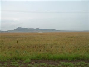 339 ha Farm in Bloemfontein Rural