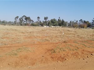 8000 m² Land available in De Deur