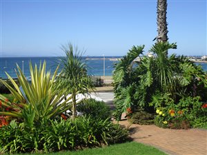 3 Bed Apartment in Santos Bay