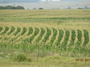 300 ha Farm in Bronkhorstspruit