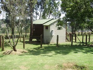 Bachelor apartment in Ruimsig