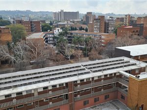 3 Bed Apartment in Arcadia