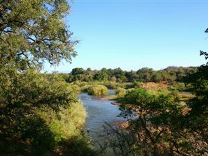 2500 m² Land available in Hoedspruit