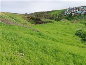 4500 m² Land available in Die Boord