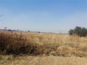 65812 ha Farm in Dersley
