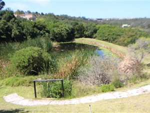1760 m² Land available in Schoongezicht