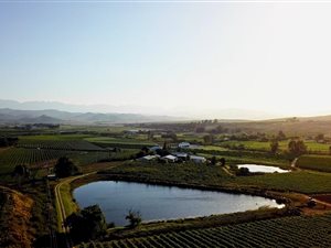 60 ha Farm in Robertson