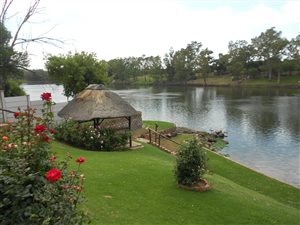 1.3 ha Farm in Parys