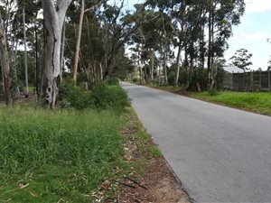 4 Bed House in Greenbushes