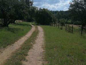 3 ha Farm in Lammermoor