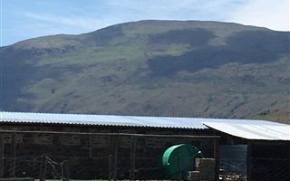 403 ha Farm in Kokstad