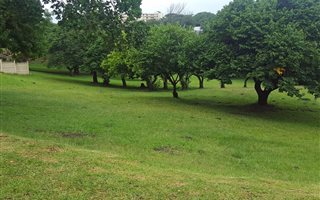 479 m² Land available in Panorama Park