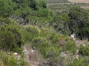 892 m² Land available in Seemeeu Park