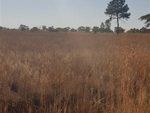 8.5 ha Farm in Vasfontein