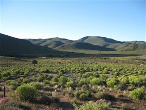 4623 ha Farm in Hantam