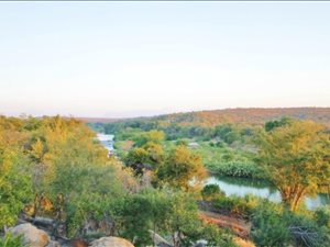 220 ha Farm in Hoedspruit