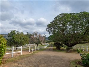 4 Bed House in Assagay