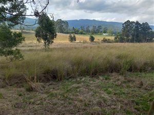 2 ha Farm in Stutterheim