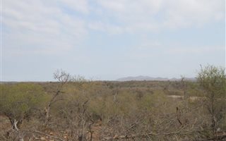 25 ha Farm in Hoedspruit