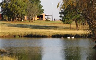 27 ha Farm in Newcastle Central