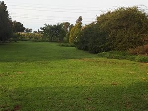 12 ha Farm in Middelburg