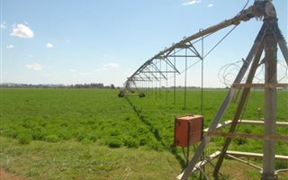 256 ha Farm in Bloemfontein Farms