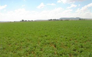 256 ha Farm in Bloemfontein Farms