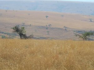894 ha Land available in Vryheid