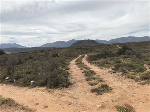 23 ha Farm in Calitzdorp