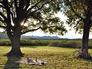 30 ha Farm in Natures Valley