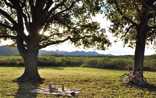 30 ha Farm in Natures Valley
