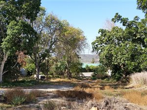1000 m² Land available in Bonnievale